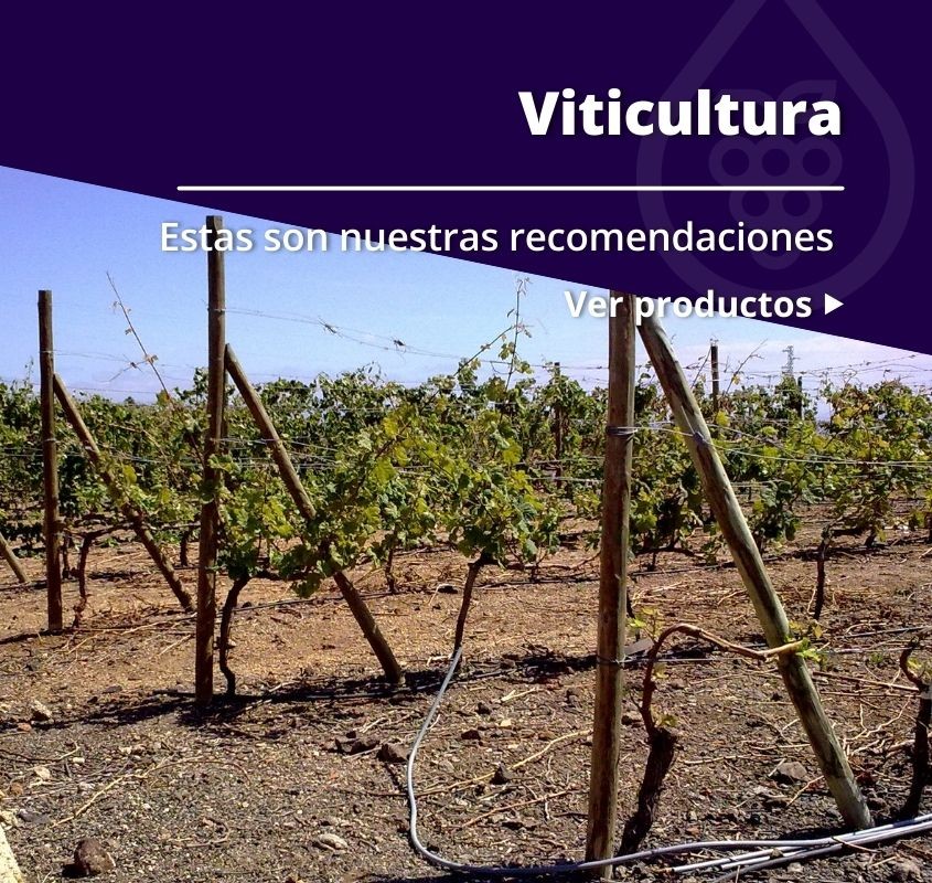 Espalderas para viticultura